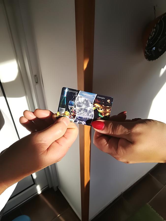 Harmony Vendeghaz Egerszalokアパートメント エクステリア 写真